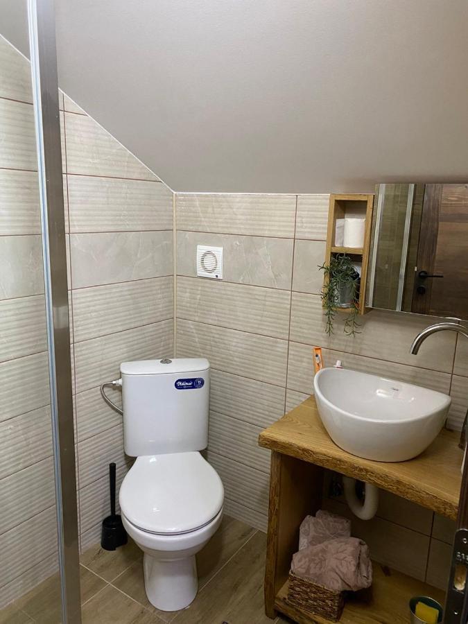 Rtanjska Kucica Apartment Boljevac Bagian luar foto